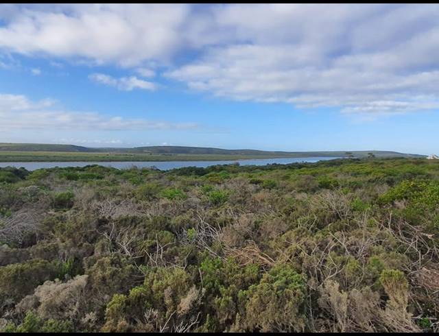 FARM FOR SALE IN GOURITSMOND RURAL